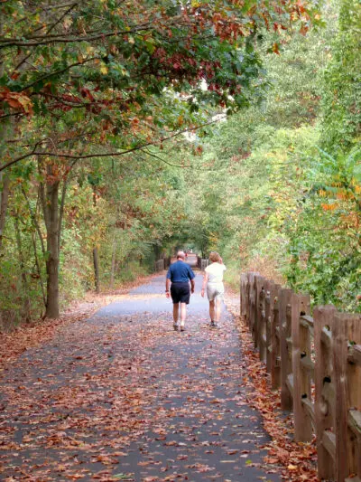Couple taking a break by walking through the woods