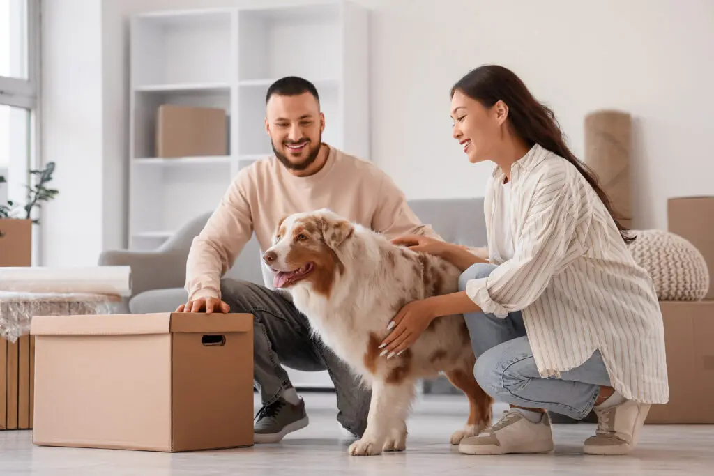 Young couple with box and Australian Shepherd dog in room on moving day