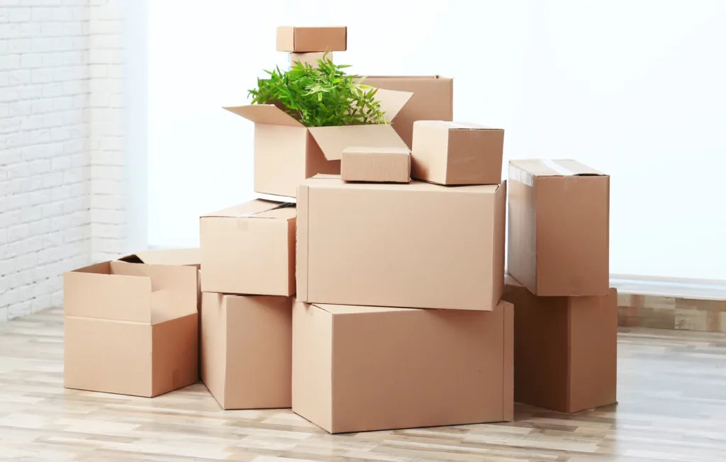 Moving plants